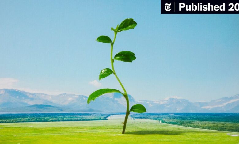 10 Ideas for Reflecting at the End of the School Year