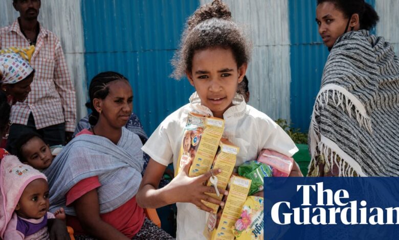 ‘A colonial mindset’: why global aid agencies need to get out of the way | Global development