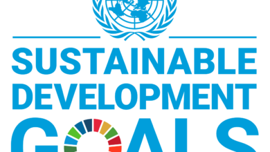 Goal 10: Reduce inequality within and among countries