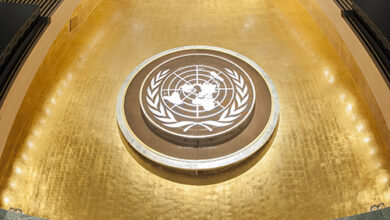 Chapter IX: International Economic and Social Cooperation (Articles 55-60) Chapter IX: International Economic and Social Cooperation (Articles 55-60)