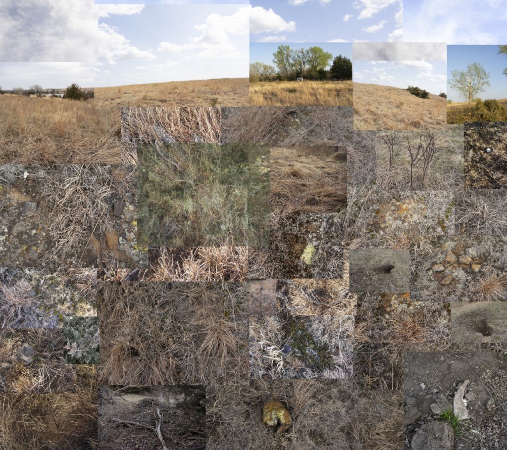A photograph made of many smaller photographs collaged together. The photos feature rocks, grasses, trees and sky.
