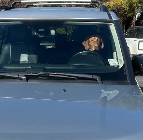 Roundup: Rink Ring, Hillspoint Homes, Newman’s Own …