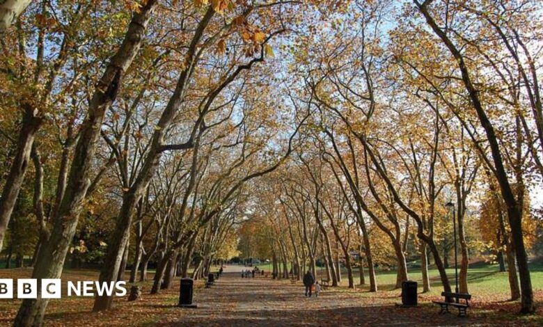 Outdoor learning ‘boosts children’s development’