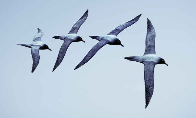 The boss factor | McKinsey