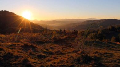 Rebecca Brown Appointed President and CEO of the Center for International Environmental Law