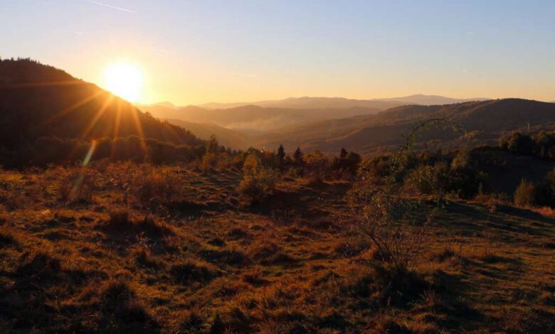 Rebecca Brown Appointed President and CEO of the Center for International Environmental Law