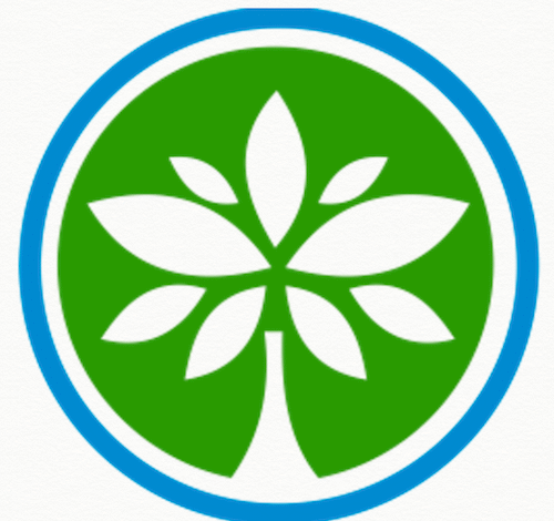 Top 10 NGO Success Stories That Secured Major Grants