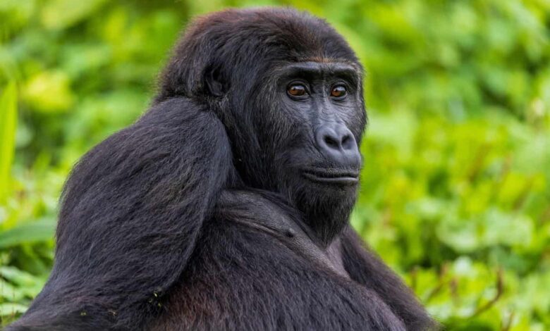 What went right this week: protecting the high seas, plus more