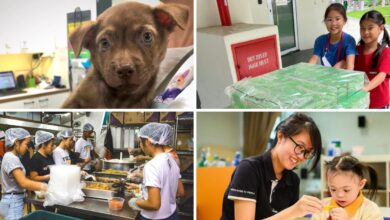 Charities, NGO & Welfare Groups in Singapore