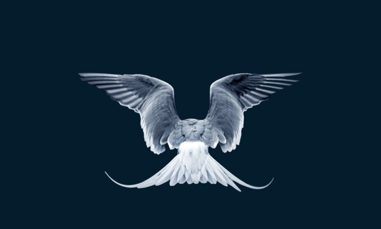 How employers can create a thriving workplace