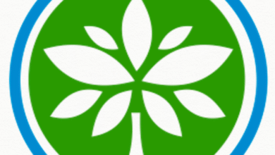 The Best Case Studies of NGOs That Mastered Hybrid Fundraising Models