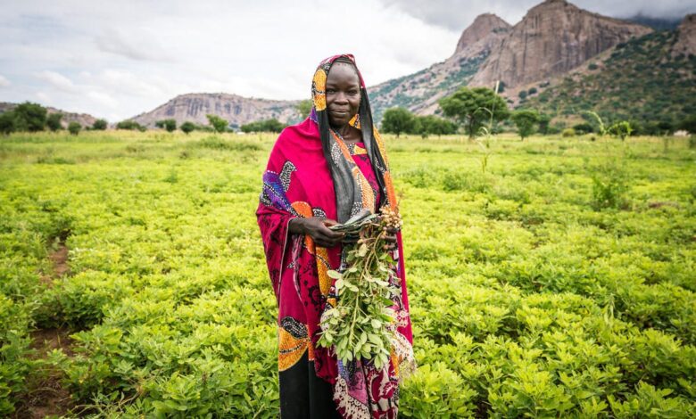 Why Global Food Security Is the Equity Challenge of Our Lifetime