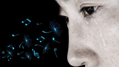 BBC Learning English – 6 Minute English / Why do people like sad music?