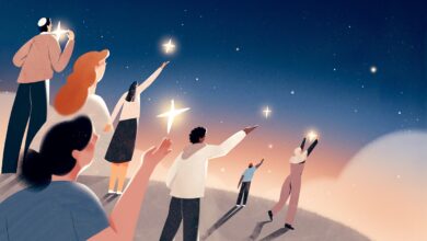 Be kind to each other and Earth. Watch birds! : Goats and Soda : NPR