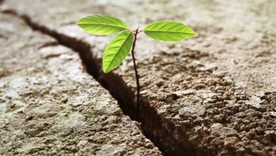 Hope is the key to a meaningful life, according to new research