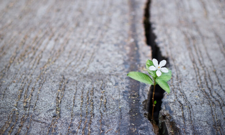 Hope: The forgotten virtue of our time.