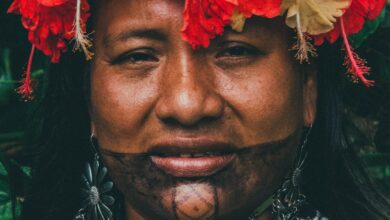 The Resilience and Richness of Australian Aboriginal Culture