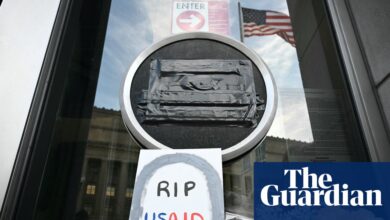 How will Trump and Musk’s freeze on USAid affect millions around the world? | Global development