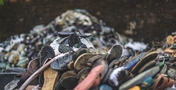 Human rights news analysis – Global Insight Aug/Sept 2023