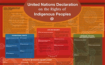 UNDRIP poster