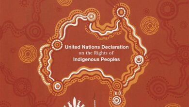 UN Declaration on the Rights of Indigenous Peoples
