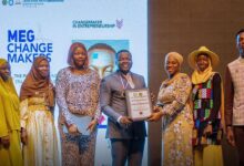 Youth Ambassadors recognise Bright Sekoni for inspiring social change | The Guardian Nigeria News