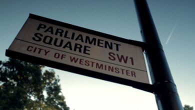 From big thinkers to local heroes | Environment News